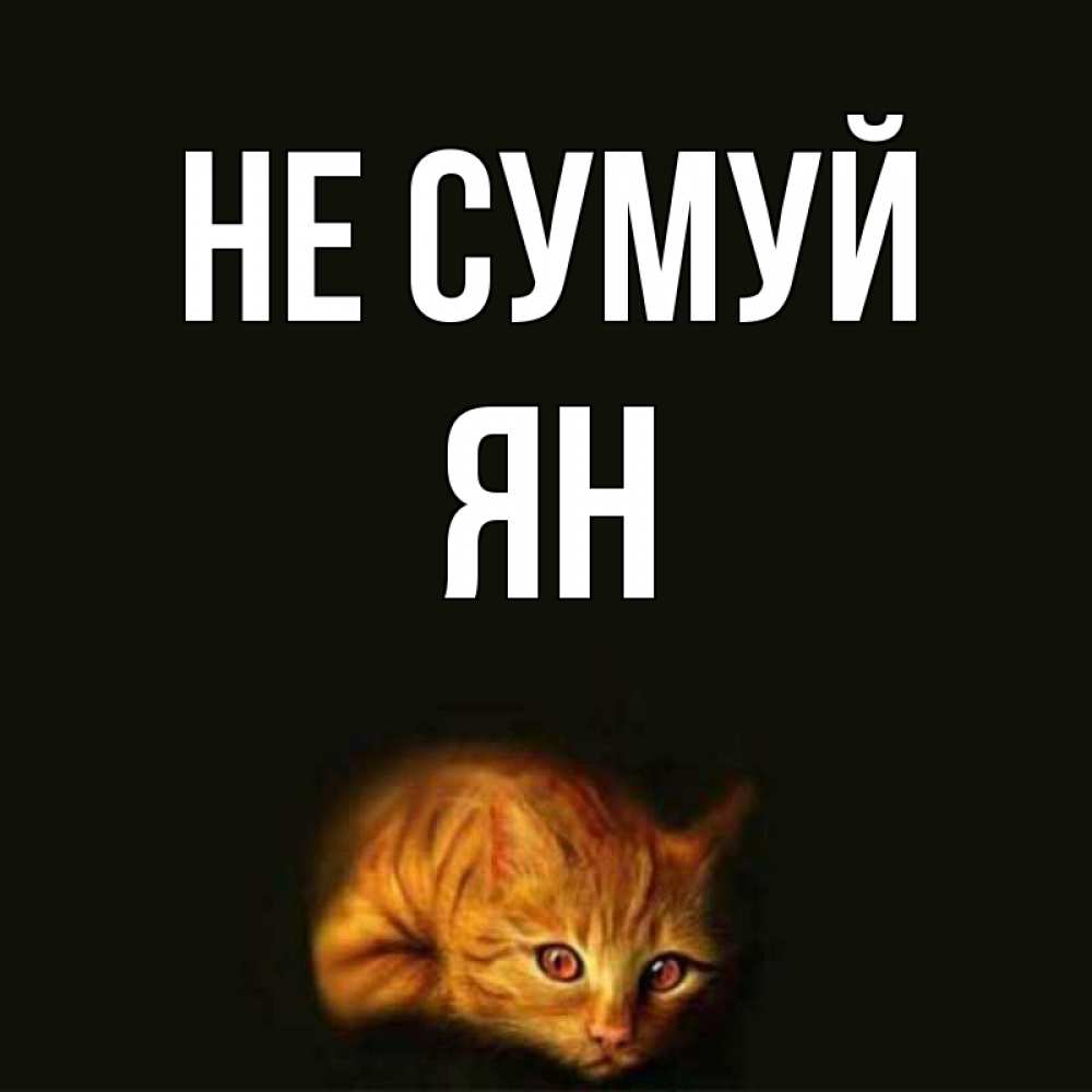 Открытка на каждый день з підписом, Ян Не сумуй лежащий кот в темноте Прикольна листівка з побажанням онлайн скачати безкоштовно 