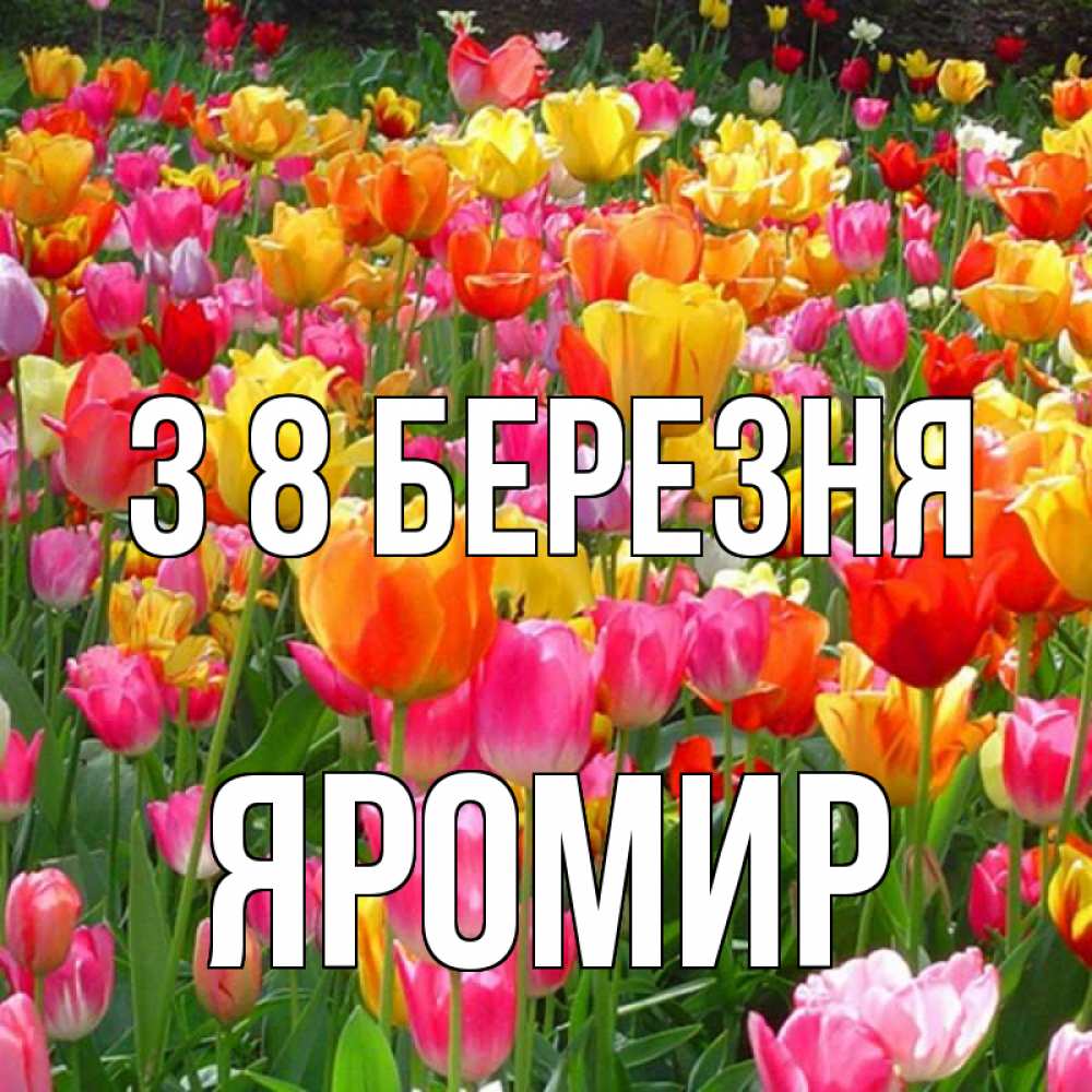 Открытка на каждый день з підписом, Яромир З 8 БЕРЕЗНЯ на международный женский день Прикольна листівка з побажанням онлайн скачати безкоштовно 