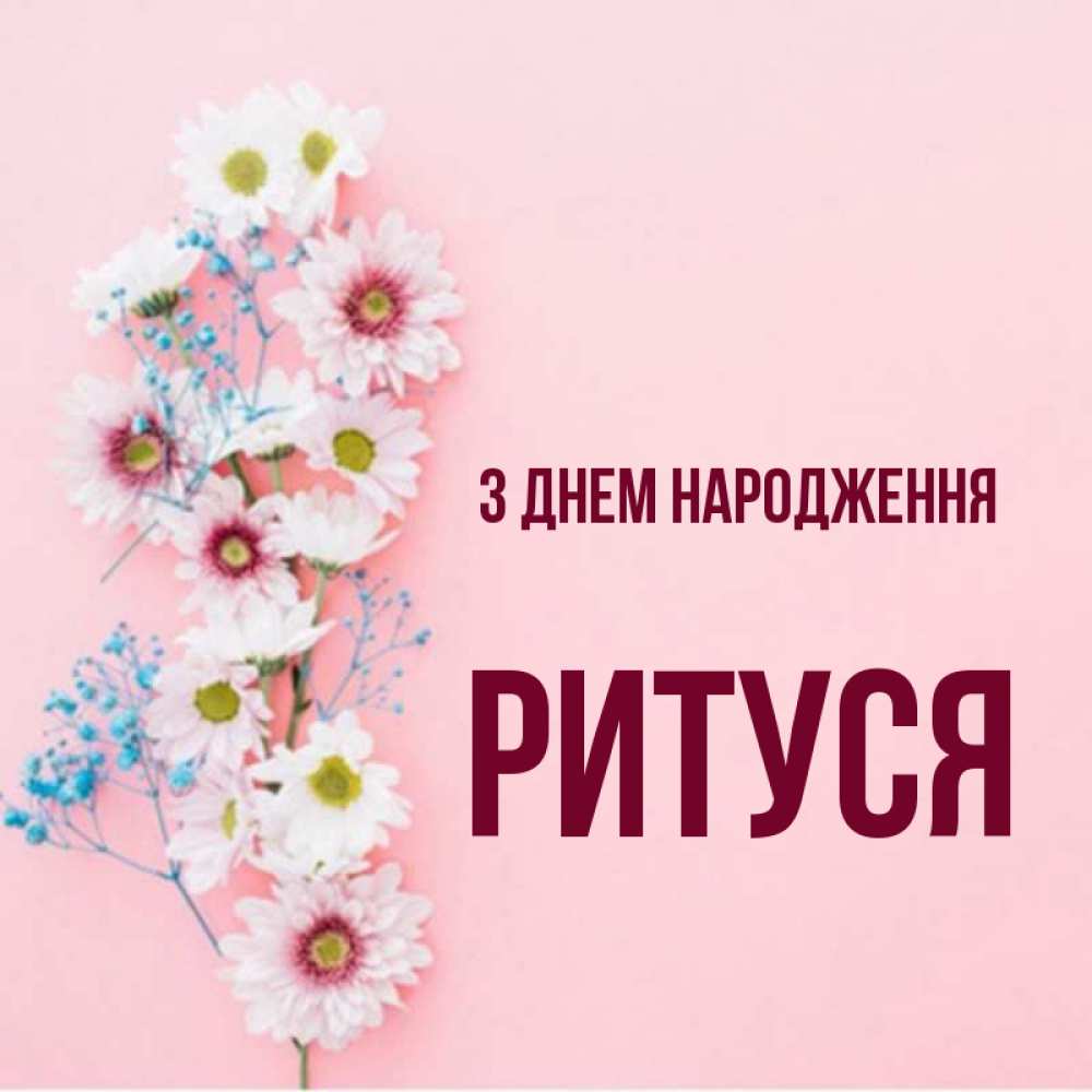 Открытка на каждый день з підписом, Ритуся З Днем народження Родная моя с днем рождения тебя картинка с цветами белыми и голубыми Прикольна листівка з побажанням онлайн скачати безкоштовно 