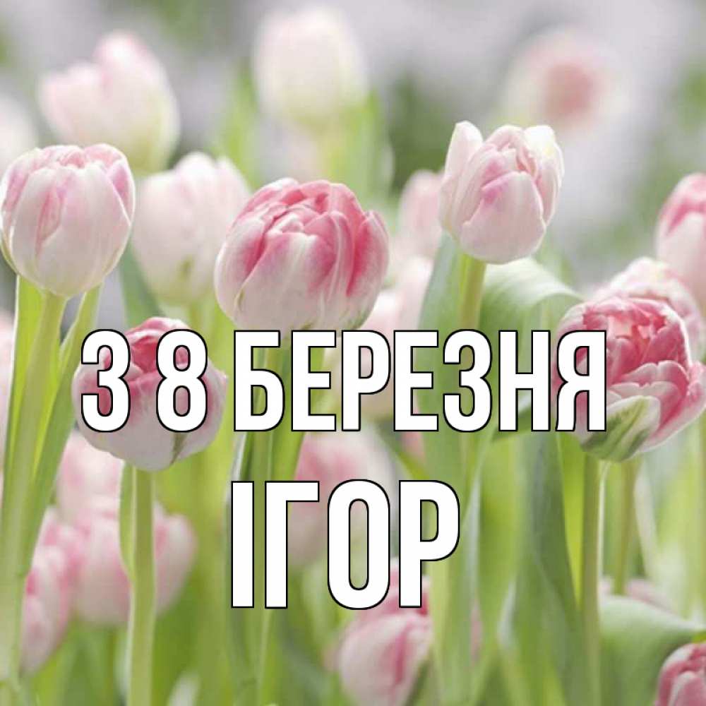 Открытка на каждый день з підписом, Ігор З 8 БЕРЕЗНЯ цветы Прикольна листівка з побажанням онлайн скачати безкоштовно 