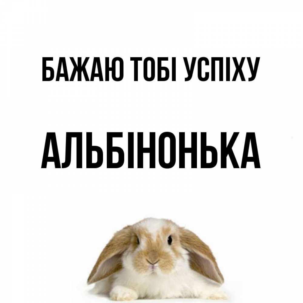 Открытка на каждый день з підписом, Альбінонька Бажаю тобі успіху открытки с произвольным текстом который можно вставить в открытку и создать ее самостоятельно бесплатно онлайн Прикольна листівка з побажанням онлайн скачати безкоштовно 