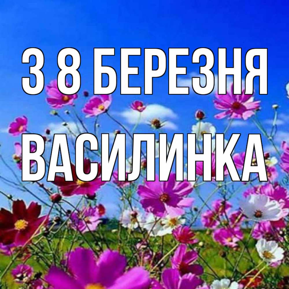 Открытка на каждый день з підписом, Василинка З 8 БЕРЕЗНЯ цветы Прикольна листівка з побажанням онлайн скачати безкоштовно 