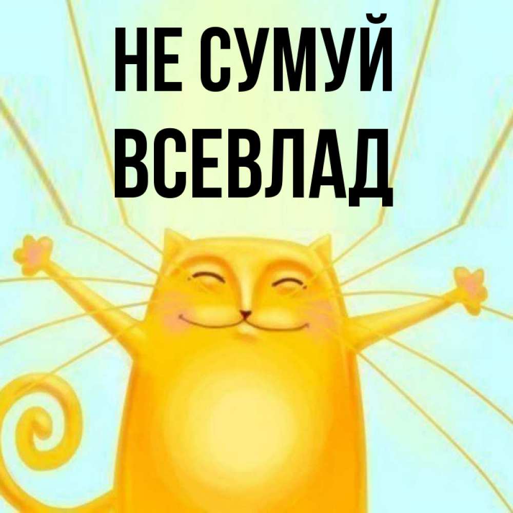 Открытка на каждый день з підписом, Всевлад Не сумуй обнимашки усатые Прикольна листівка з побажанням онлайн скачати безкоштовно 