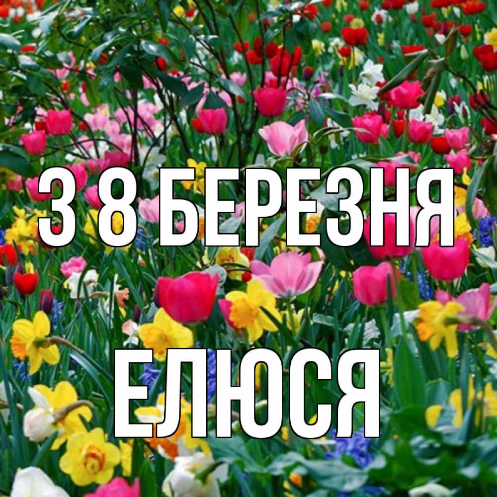 Открытка на каждый день з підписом, Елюся З 8 БЕРЕЗНЯ с международным женским днем поздравления для женщины Прикольна листівка з побажанням онлайн скачати безкоштовно 