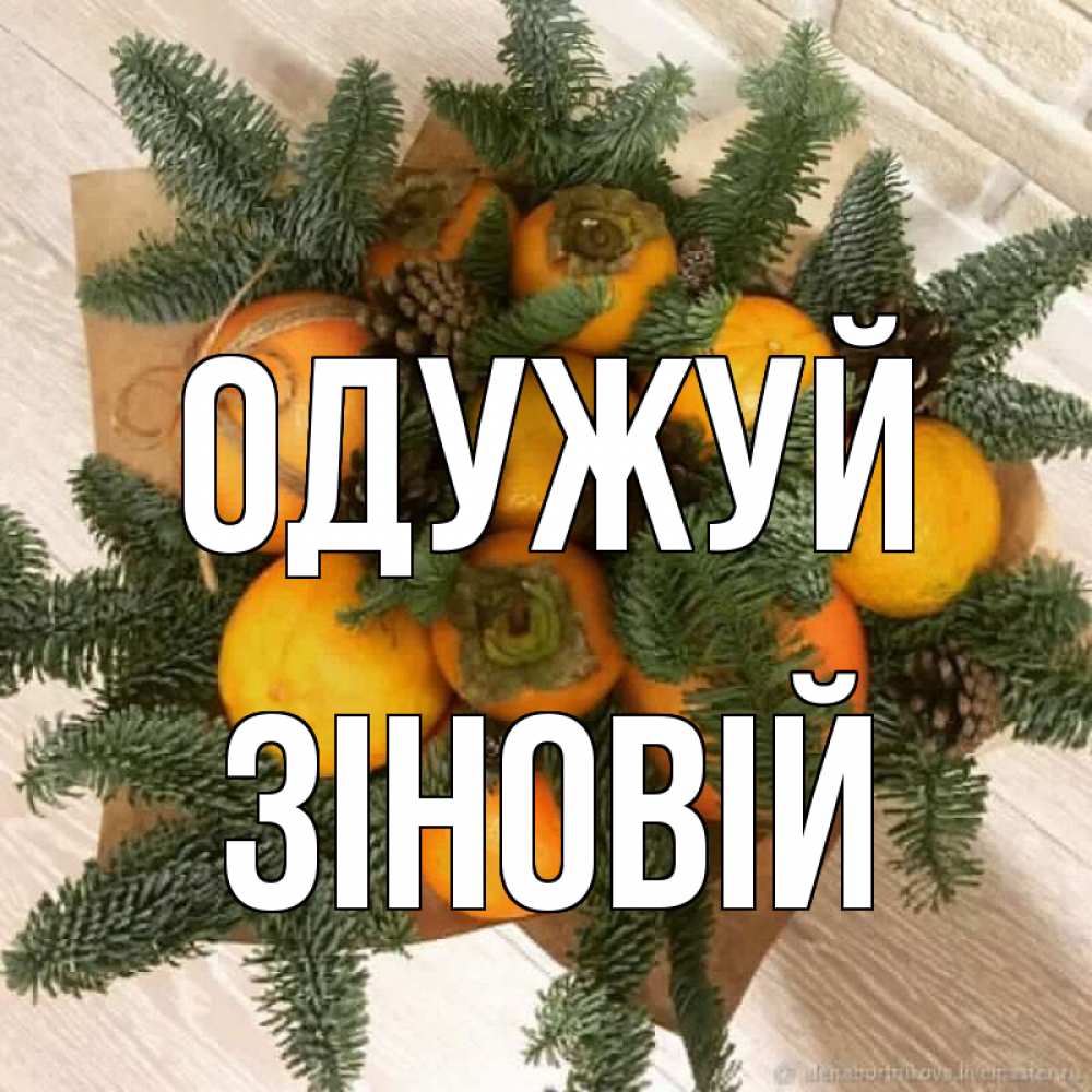 Открытка на каждый день з підписом, Зіновій Одужуй апельсины и хурьма Прикольна листівка з побажанням онлайн скачати безкоштовно 