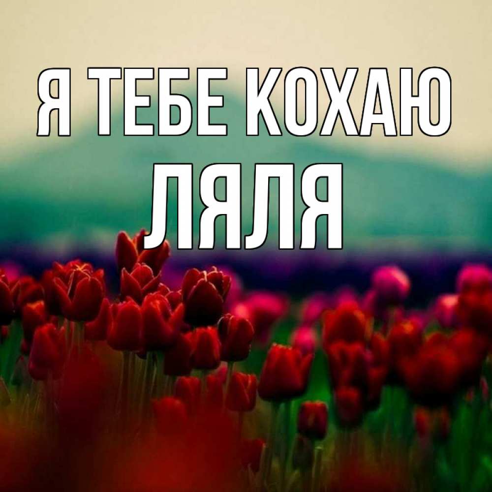 Открытка на каждый день з підписом, Ляля Я тебе кохаю тюльпаны 4 Прикольна листівка з побажанням онлайн скачати безкоштовно 