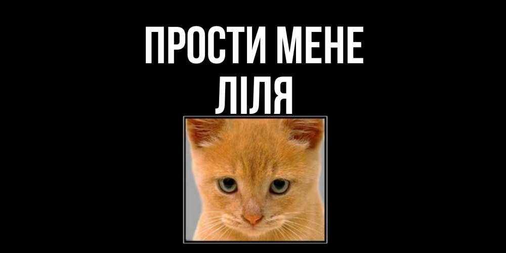 Открытка на каждый день з підписом, Ліля Прости мене рыжий грустный кот просит прощения Прикольна листівка з побажанням онлайн скачати безкоштовно 