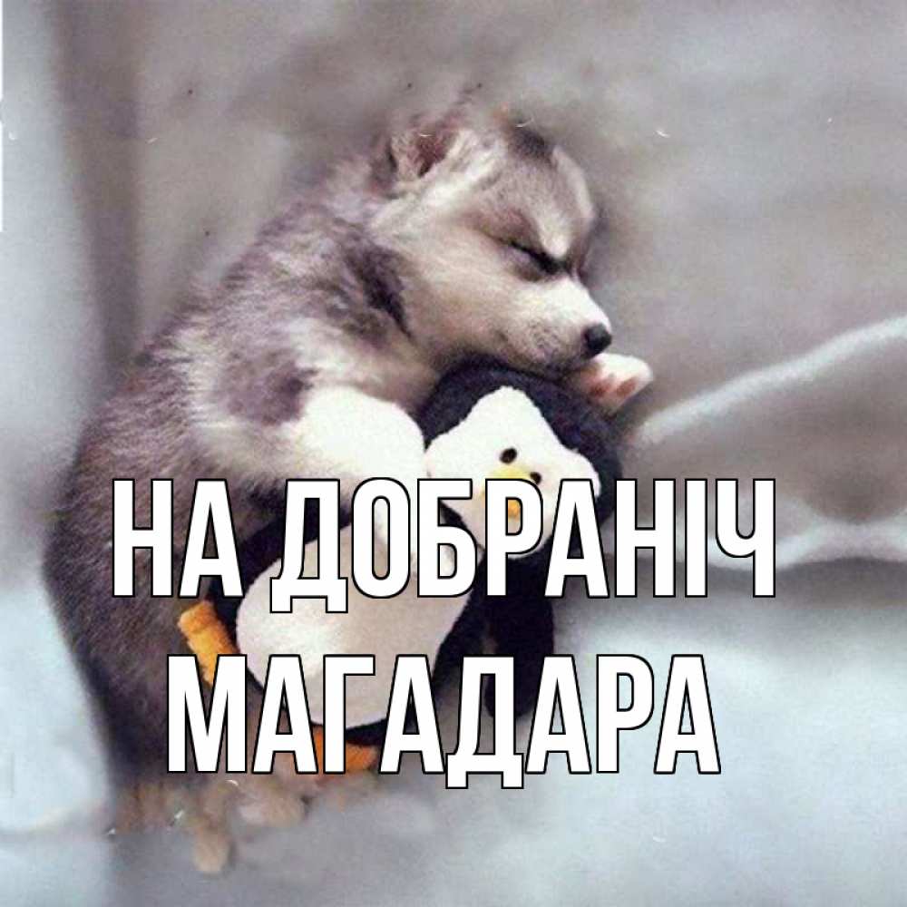 Открытка на каждый день з підписом, Магадара На добраніч обнимашки щенка и пингвина Прикольна листівка з побажанням онлайн скачати безкоштовно 