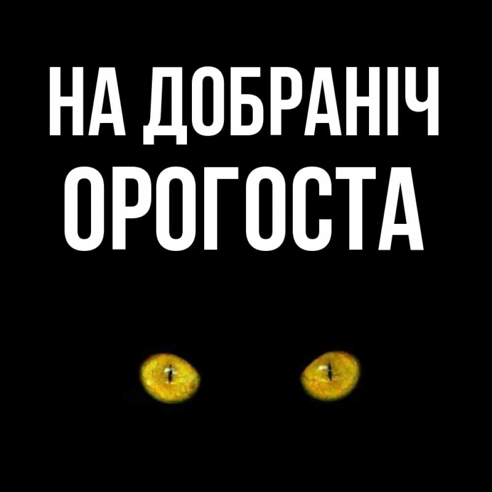 Открытка на каждый день з підписом, Орогоста На добраніч сладких снов бесстрашный мой дружочек Прикольна листівка з побажанням онлайн скачати безкоштовно 