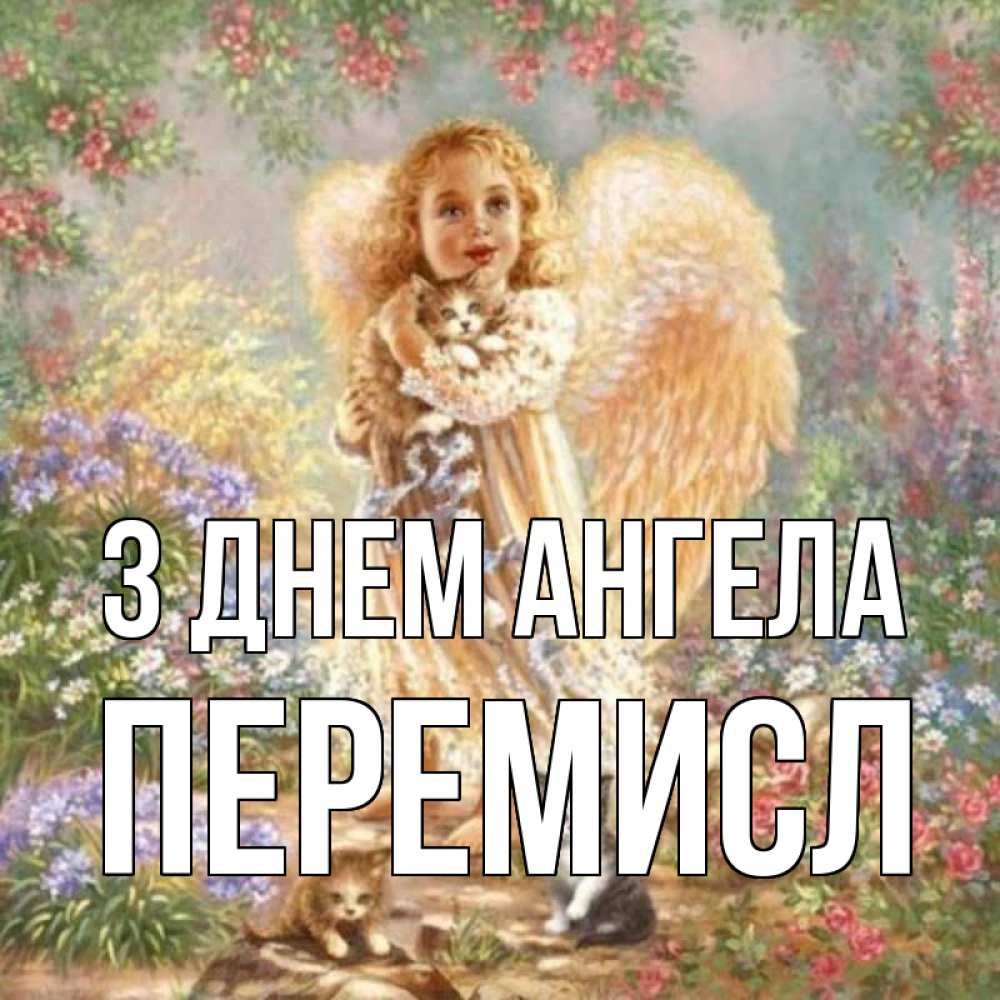 Открытка на каждый день з підписом, Перемисл З Днем ангела держит котенка Прикольна листівка з побажанням онлайн скачати безкоштовно 