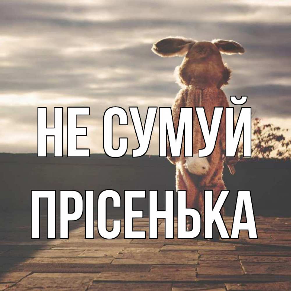 Открытка на каждый день з підписом, Прісенька Не сумуй со спины Прикольна листівка з побажанням онлайн скачати безкоштовно 