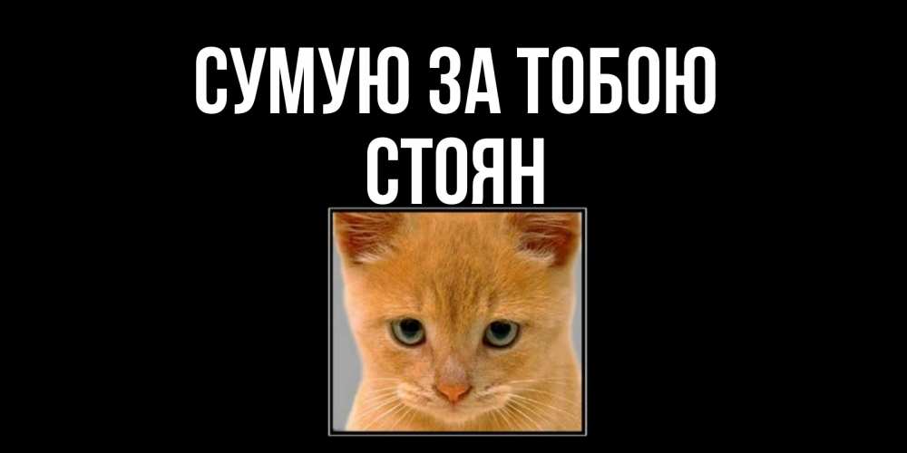 Открытка на каждый день з підписом, Стоян Сумую за тобою открытки рыжий котенок скучает по тебе Прикольна листівка з побажанням онлайн скачати безкоштовно 
