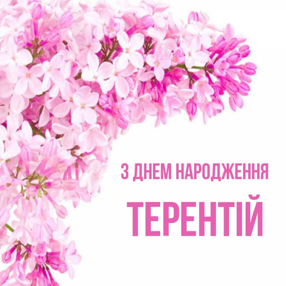 Открытка на каждый день з підписом, Терентій З Днем народження Сирень на белом фоне Прикольна листівка з побажанням онлайн скачати безкоштовно 