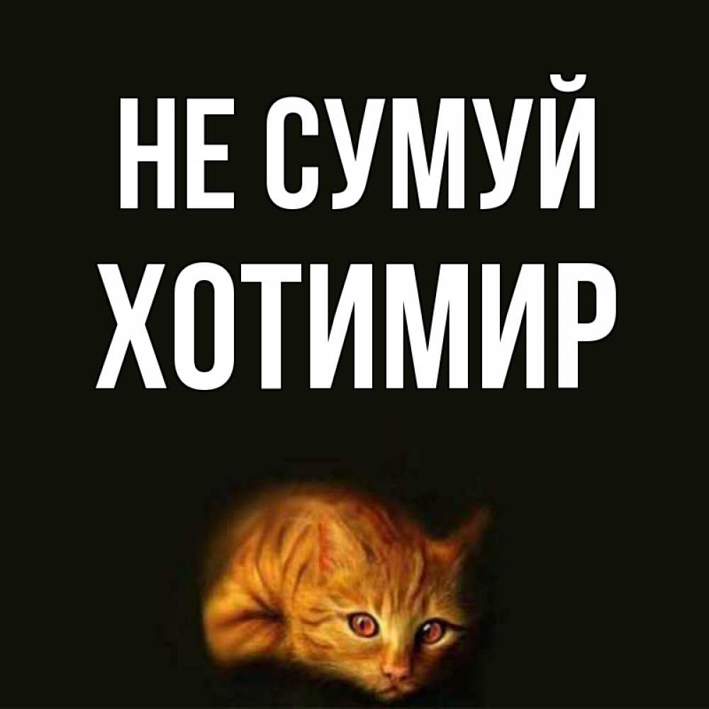 Открытка на каждый день з підписом, Хотимир Не сумуй лежащий кот в темноте Прикольна листівка з побажанням онлайн скачати безкоштовно 