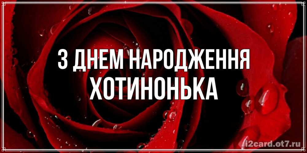 Открытка на каждый день з підписом, Хотинонька З Днем народження крупная бордовая роза Прикольна листівка з побажанням онлайн скачати безкоштовно 