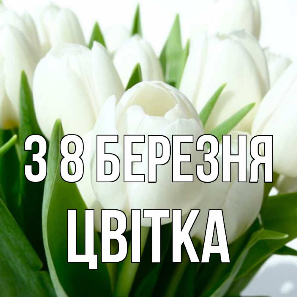 Открытка на каждый день з підписом, Цвітка З 8 БЕРЕЗНЯ цветы Прикольна листівка з побажанням онлайн скачати безкоштовно 