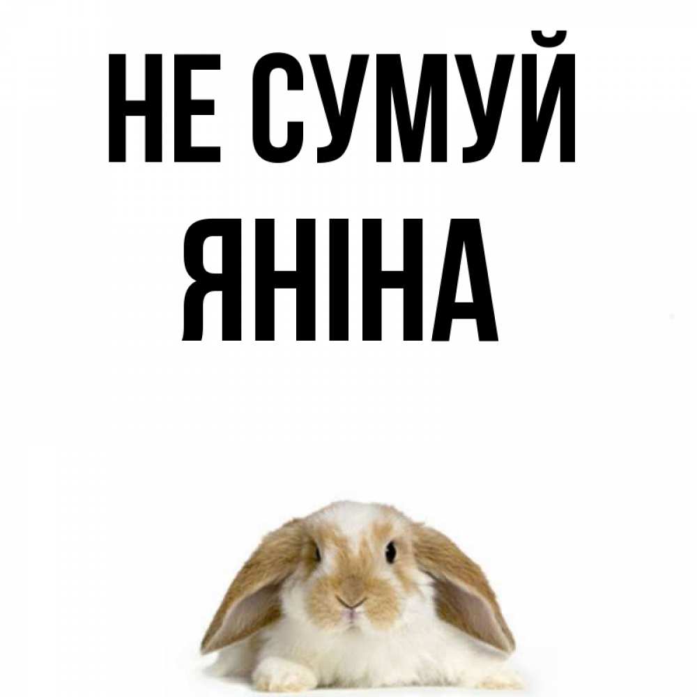 Открытка на каждый день з підписом, Яніна Не сумуй коричнево белый заяц с большими ушками Прикольна листівка з побажанням онлайн скачати безкоштовно 
