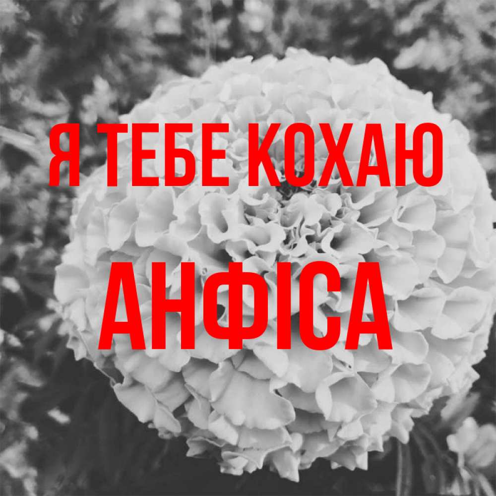 Открытка на каждый день з підписом, Анфіса Я тебе кохаю подпись Прикольна листівка з побажанням онлайн скачати безкоштовно 