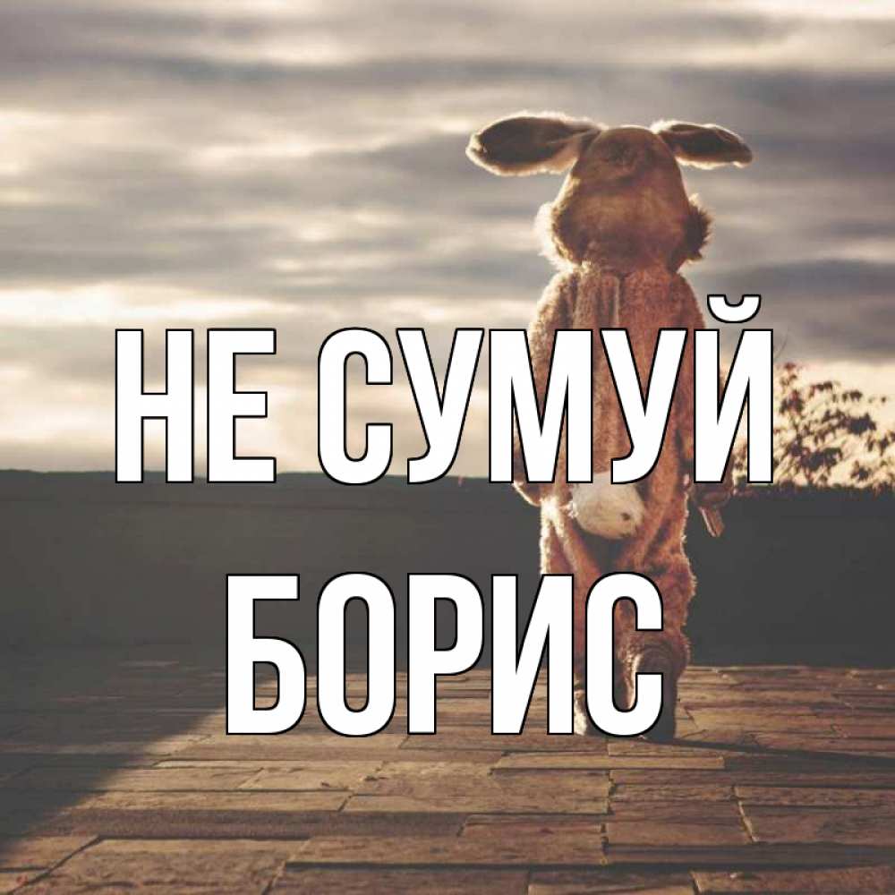 Открытка на каждый день з підписом, Борис Не сумуй со спины Прикольна листівка з побажанням онлайн скачати безкоштовно 
