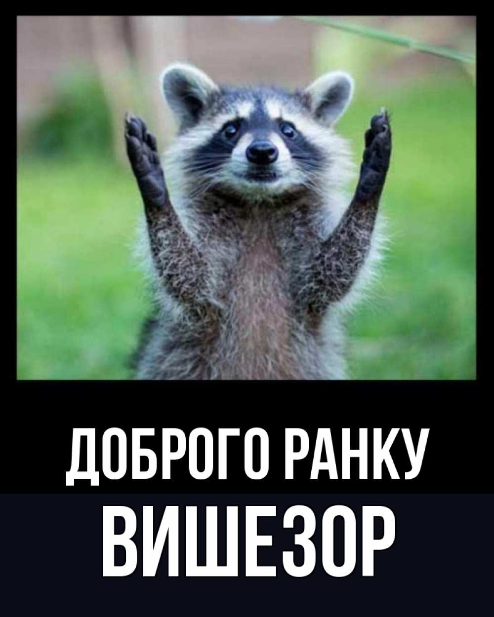 Открытка на каждый день з підписом, Вишезор Доброго ранку хорошее настроение утречком Прикольна листівка з побажанням онлайн скачати безкоштовно 