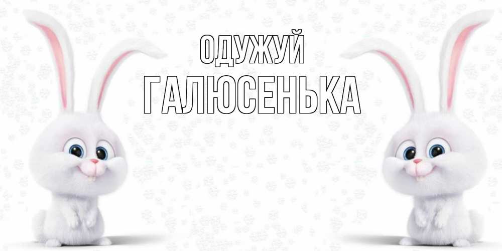 Открытка на каждый день з підписом, Галюсенька Одужуй не болей с зайцем Прикольна листівка з побажанням онлайн скачати безкоштовно 