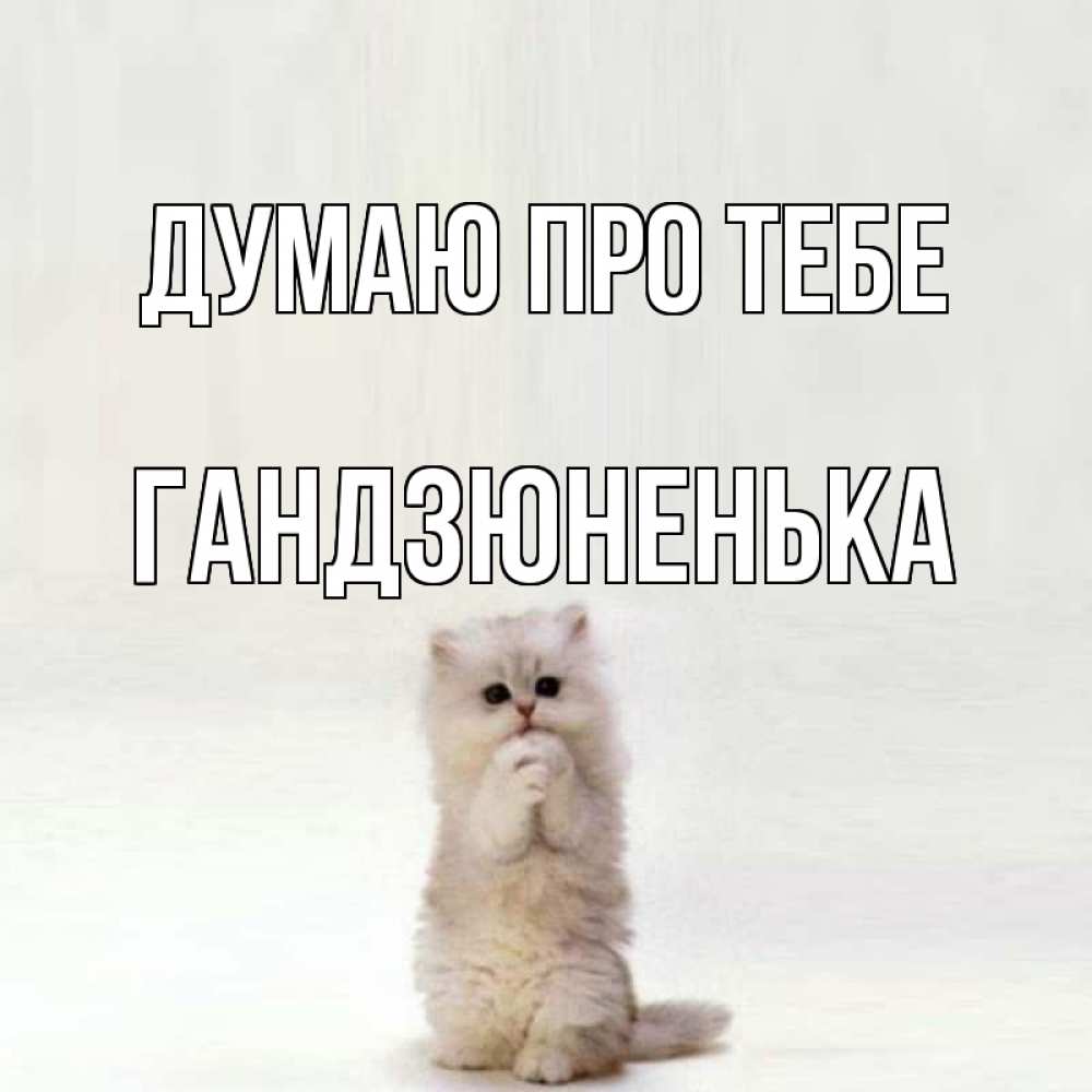 Открытка на каждый день з підписом, Гандзюненька Думаю про тебе кот стоит на задних лапах Прикольна листівка з побажанням онлайн скачати безкоштовно 