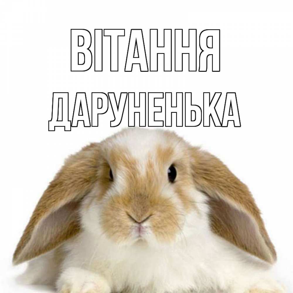 Открытка на каждый день з підписом, Даруненька Вітання с животными Прикольна листівка з побажанням онлайн скачати безкоштовно 