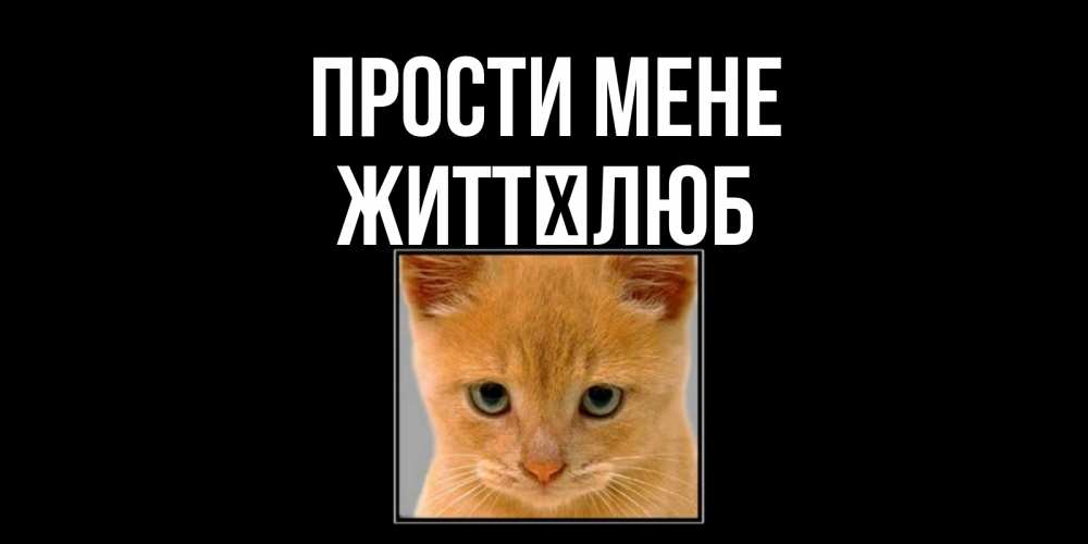 Открытка на каждый день з підписом, Життєлюб Прости мене рыжий грустный кот просит прощения Прикольна листівка з побажанням онлайн скачати безкоштовно 