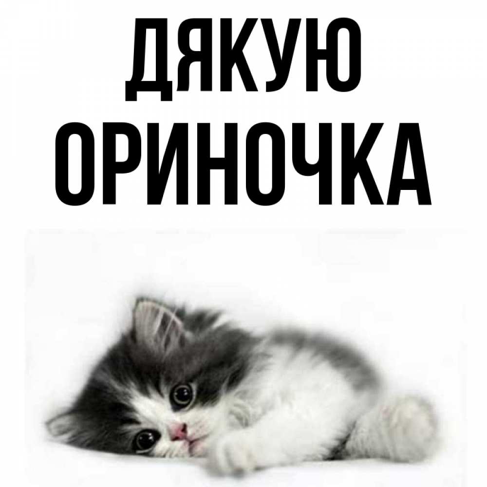 Открытка на каждый день з підписом, Ориночка Дякую черный и белый кот Прикольна листівка з побажанням онлайн скачати безкоштовно 