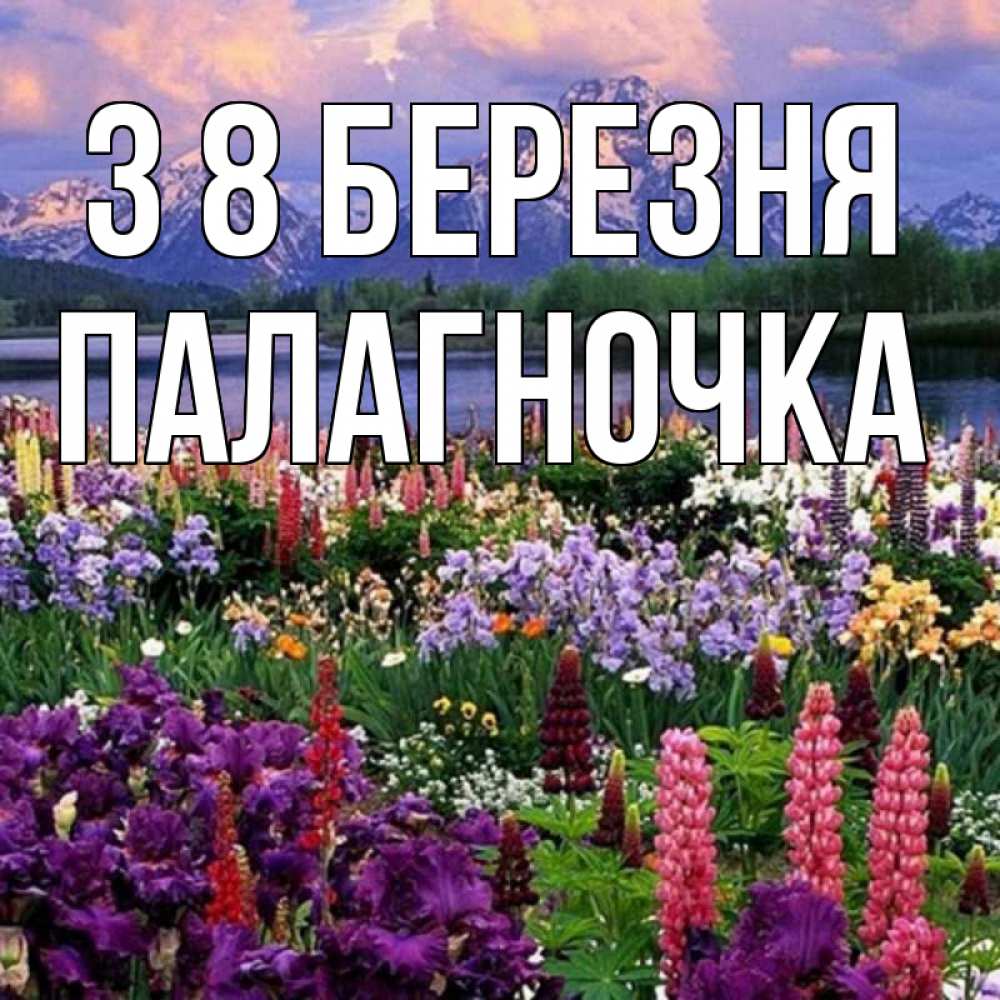 Открытка на каждый день з підписом, Палагночка З 8 БЕРЕЗНЯ международный женский день Прикольна листівка з побажанням онлайн скачати безкоштовно 