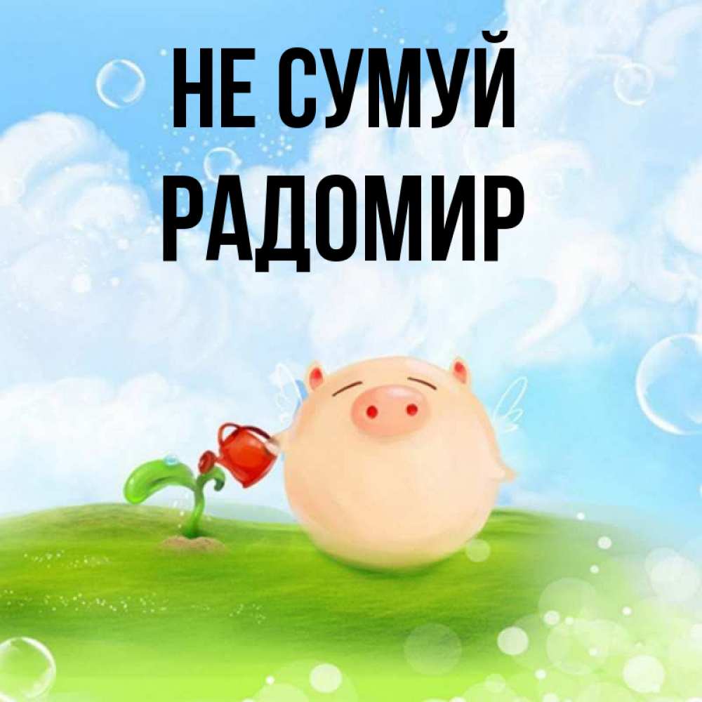 Открытка на каждый день з підписом, Радомир Не сумуй поливает цветок порося Прикольна листівка з побажанням онлайн скачати безкоштовно 