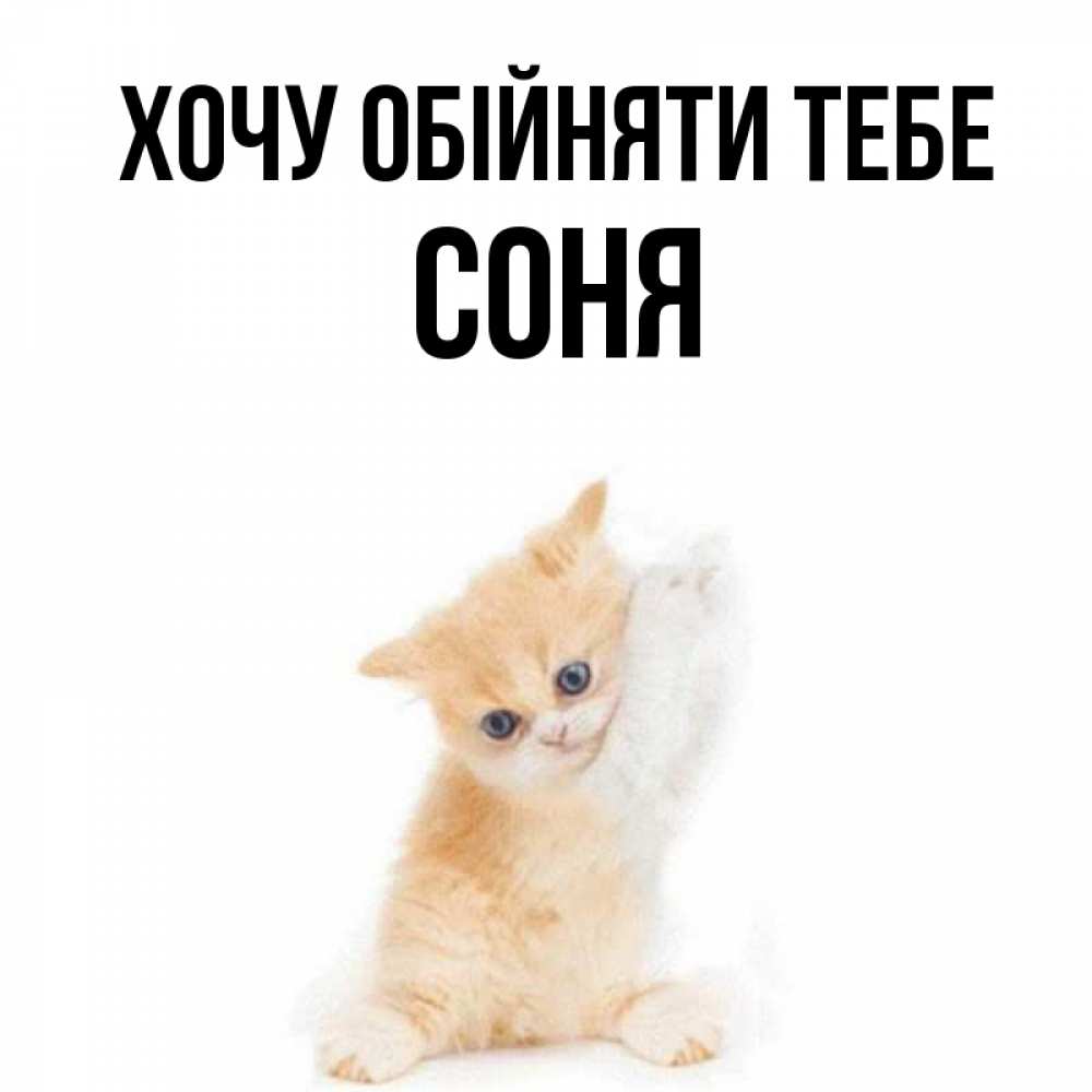 Открытка на каждый день з підписом, Соня Хочу обійняти тебе я хочу очень скорее обнимаешек Прикольна листівка з побажанням онлайн скачати безкоштовно 