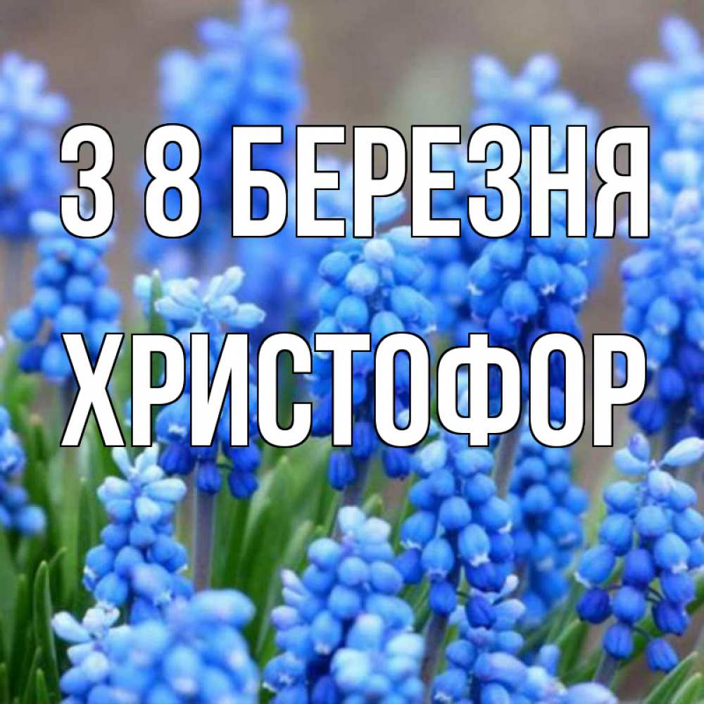 Открытка на каждый день з підписом, Христофор З 8 БЕРЕЗНЯ Поздравительная открытка для женщин с цветами на праздничную дату Прикольна листівка з побажанням онлайн скачати безкоштовно 