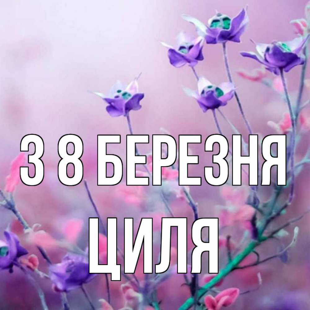 Открытка на каждый день з підписом, Циля З 8 БЕРЕЗНЯ международный женский день 2 Прикольна листівка з побажанням онлайн скачати безкоштовно 