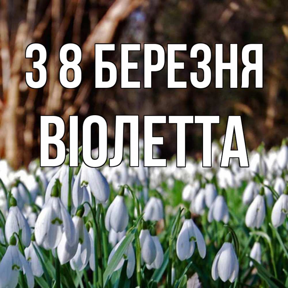 Открытка на каждый день з підписом, Віолетта З 8 БЕРЕЗНЯ с подснежниками 1 Прикольна листівка з побажанням онлайн скачати безкоштовно 