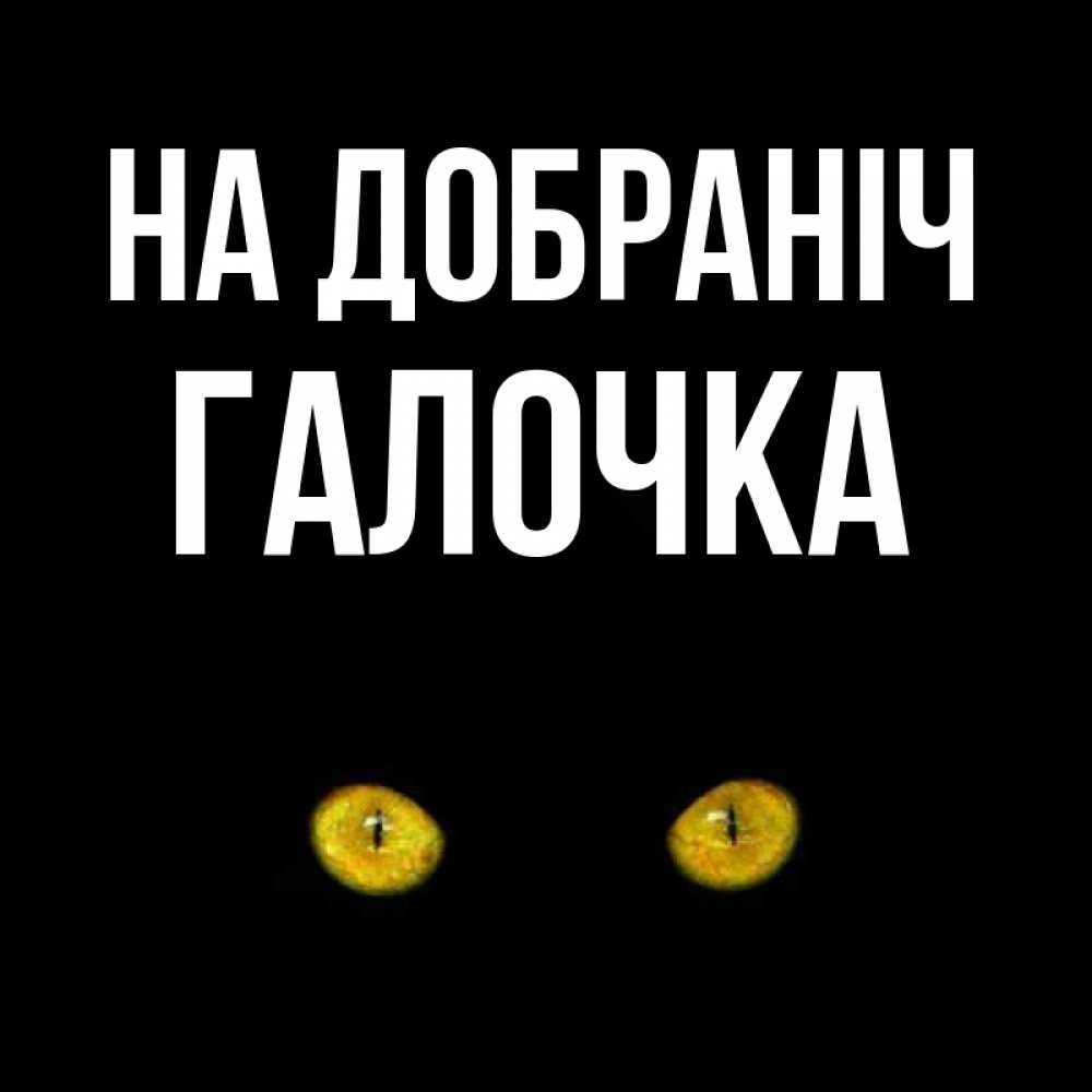 Открытка на каждый день з підписом, Галочка На добраніч сладких снов бесстрашный мой дружочек Прикольна листівка з побажанням онлайн скачати безкоштовно 