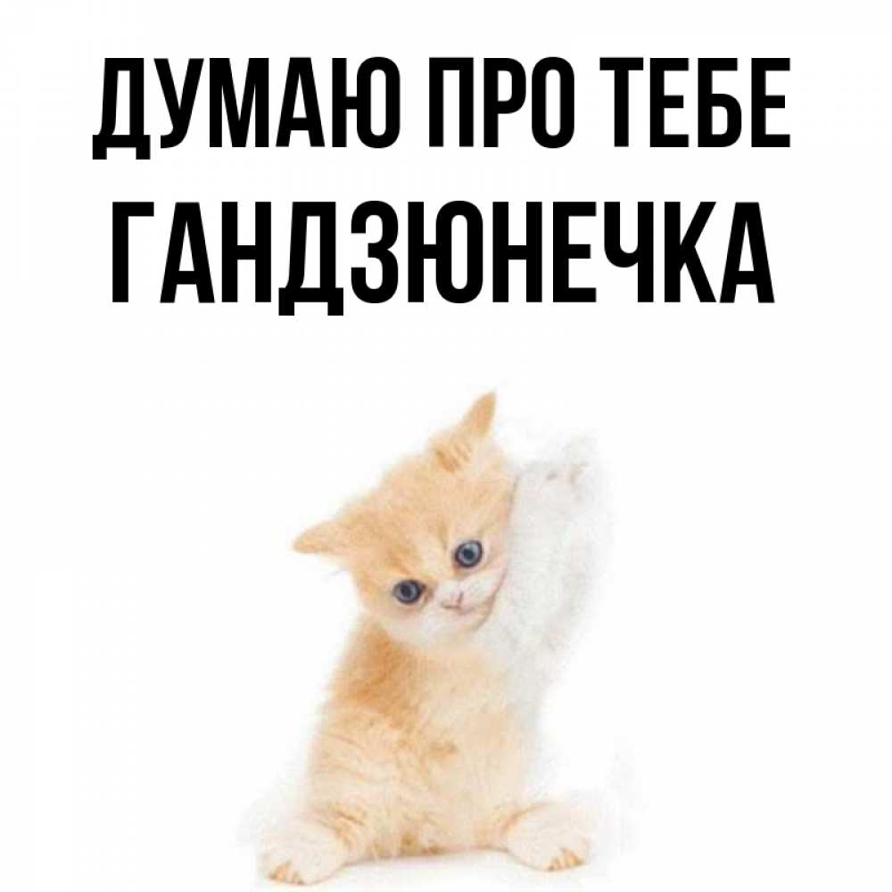 Открытка на каждый день з підписом, Гандзюнечка Думаю про тебе зверушки и милота Прикольна листівка з побажанням онлайн скачати безкоштовно 