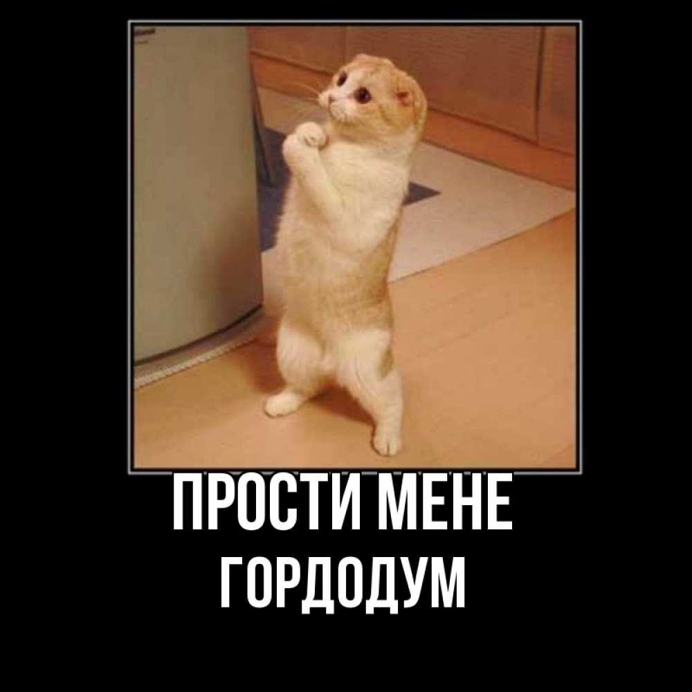 Открытка на каждый день з підписом, Гордодум Прости мене открытка с милым несчастным котиком просящим прощения Прикольна листівка з побажанням онлайн скачати безкоштовно 