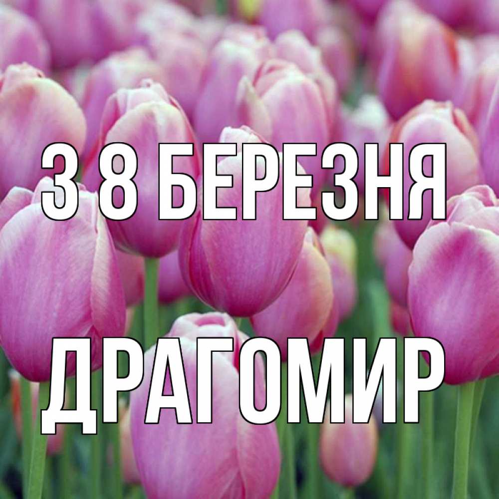 Открытка на каждый день з підписом, Драгомир З 8 БЕРЕЗНЯ на международный женский день 3 Прикольна листівка з побажанням онлайн скачати безкоштовно 