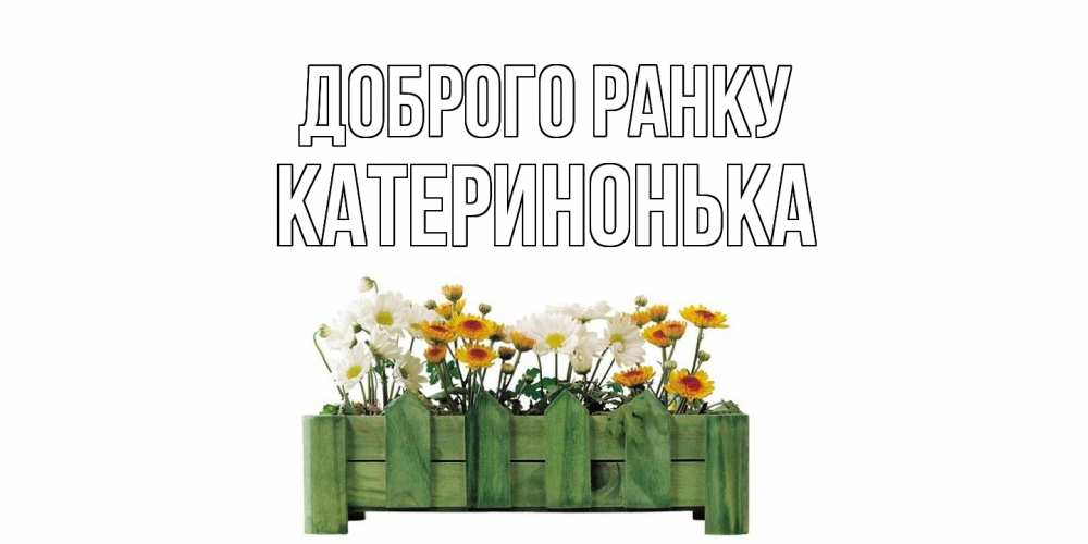 Открытка на каждый день з підписом, Катеринонька Доброго ранку цветы Прикольна листівка з побажанням онлайн скачати безкоштовно 
