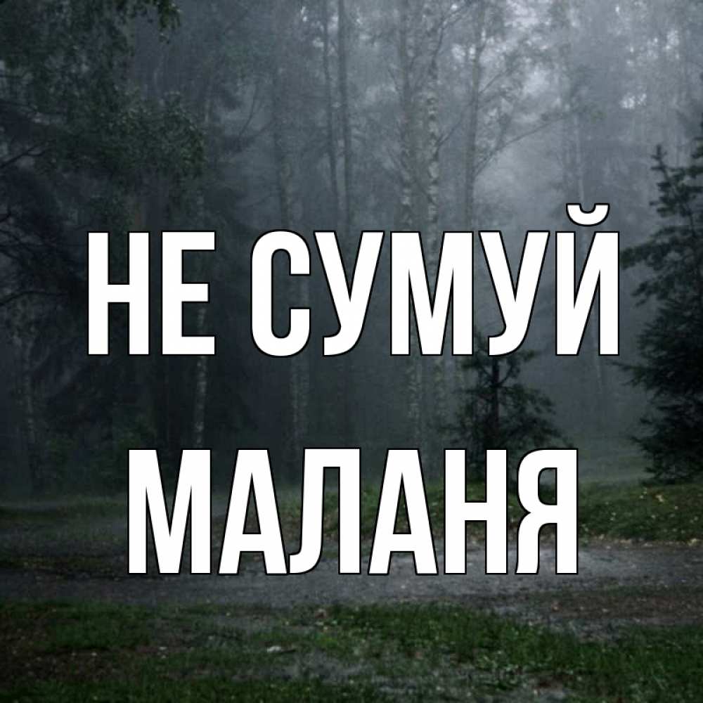 Открытка на каждый день з підписом, Маланя Не сумуй осень Прикольна листівка з побажанням онлайн скачати безкоштовно 