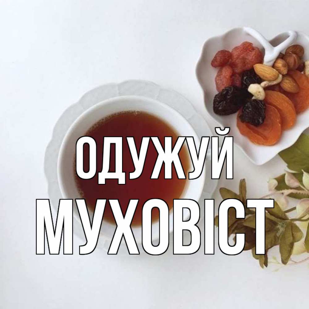 Открытка на каждый день з підписом, Муховіст Одужуй неизвестные растения Прикольна листівка з побажанням онлайн скачати безкоштовно 