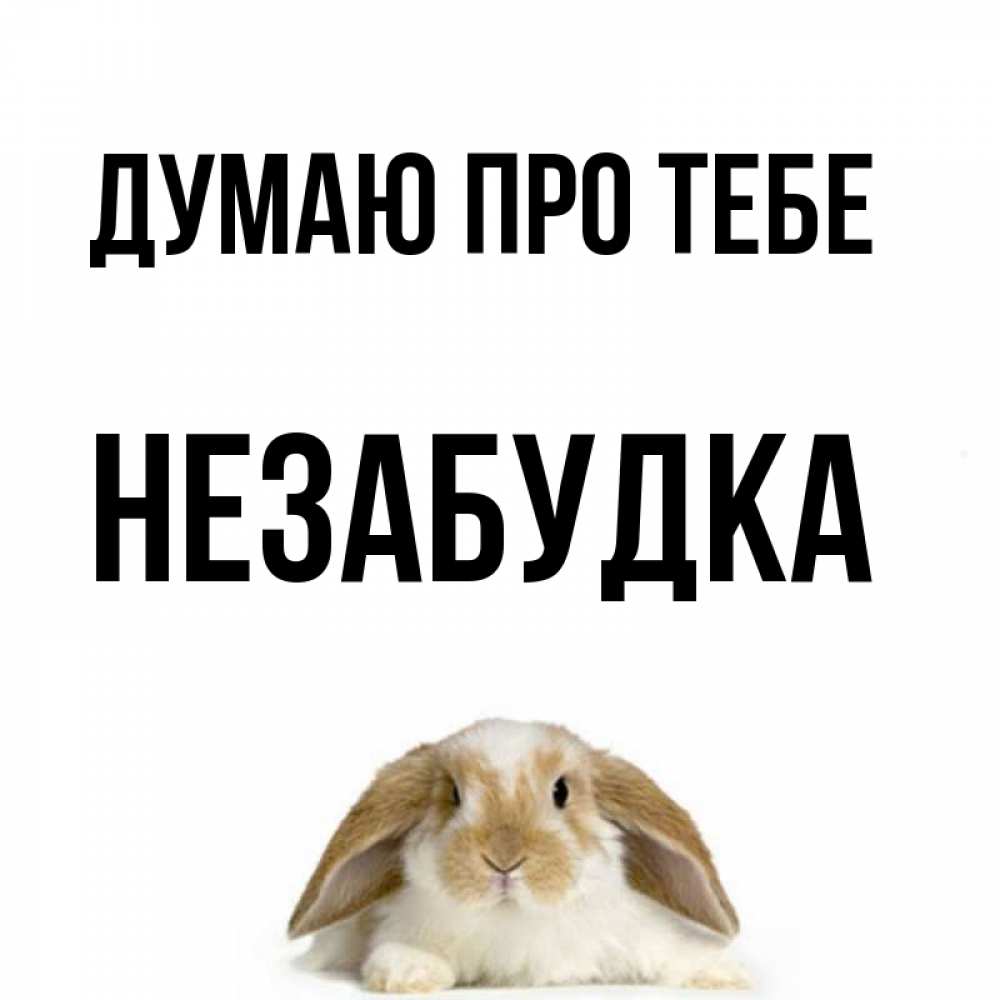 Открытка на каждый день з підписом, Незабудка Думаю про тебе подписать своими руками онлайн Прикольна листівка з побажанням онлайн скачати безкоштовно 