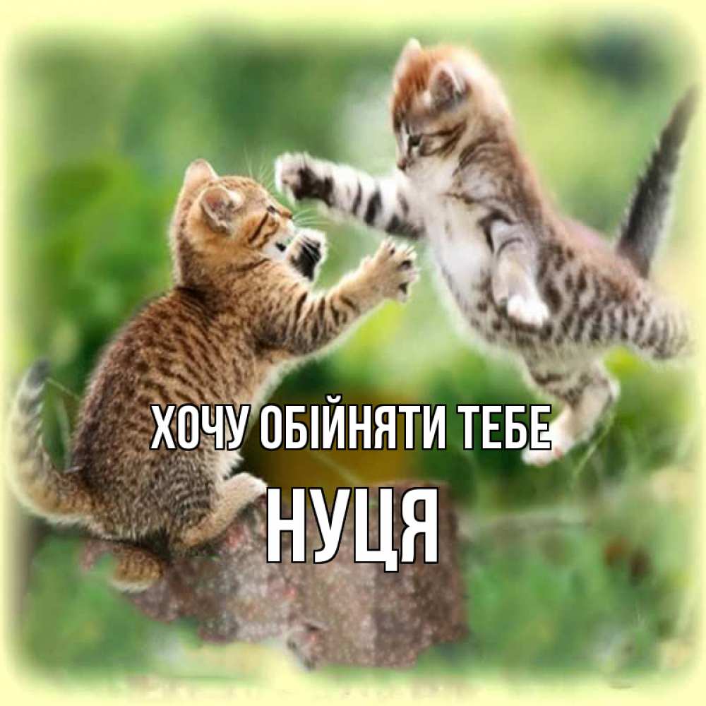 Открытка на каждый день з підписом, Нуця Хочу обійняти тебе игры котят Прикольна листівка з побажанням онлайн скачати безкоштовно 
