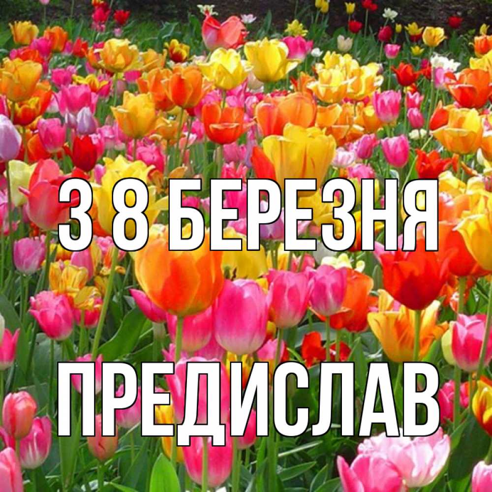 Открытка на каждый день з підписом, Предислав З 8 БЕРЕЗНЯ на международный женский день Прикольна листівка з побажанням онлайн скачати безкоштовно 