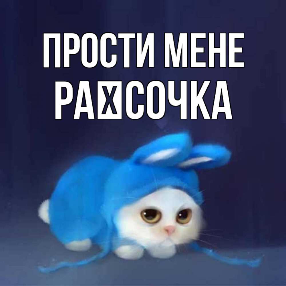 Открытка на каждый день з підписом, Раїсочка Прости мене невинный котозай просит прощения Прикольна листівка з побажанням онлайн скачати безкоштовно 