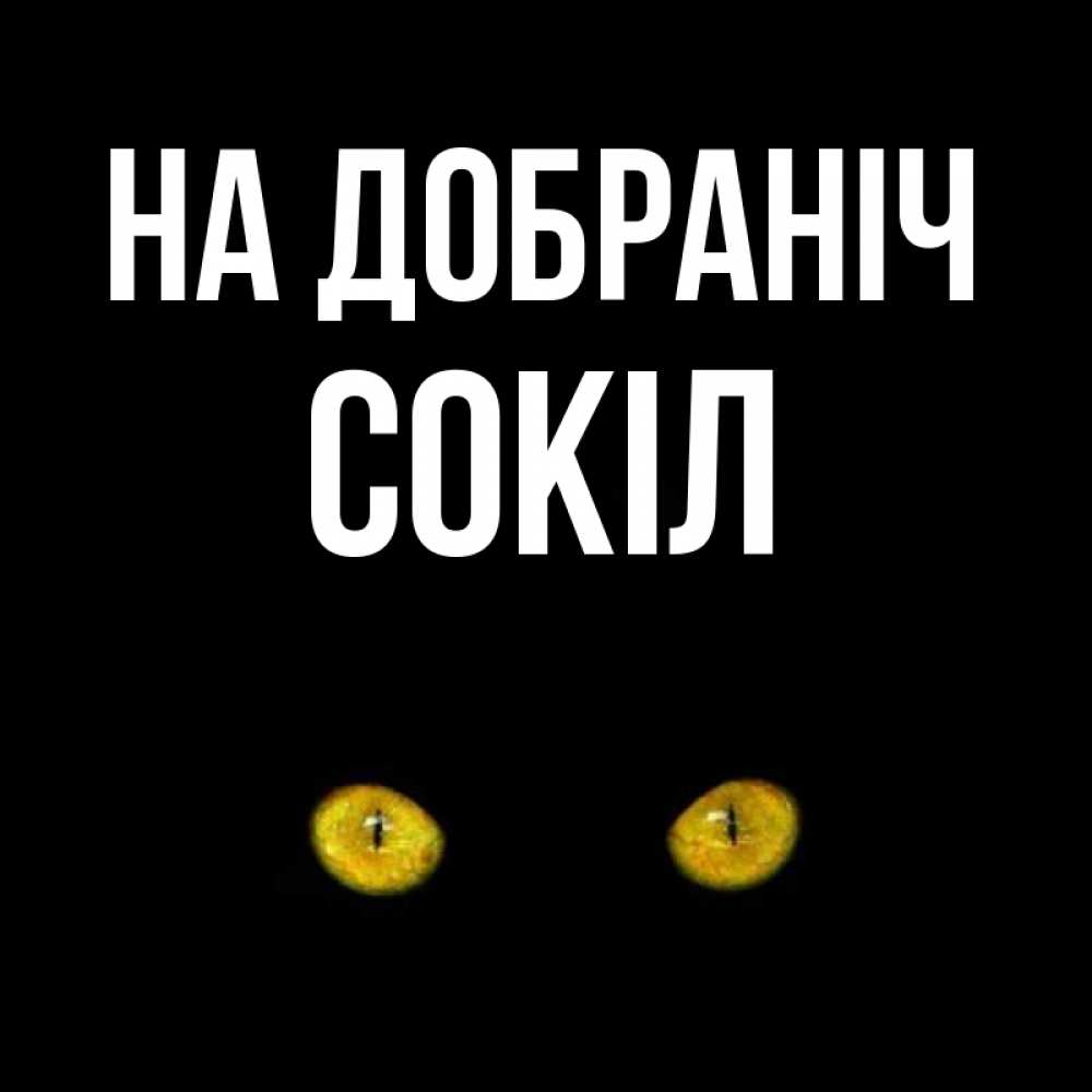 Открытка на каждый день з підписом, Сокіл На добраніч сладких снов бесстрашный мой дружочек Прикольна листівка з побажанням онлайн скачати безкоштовно 