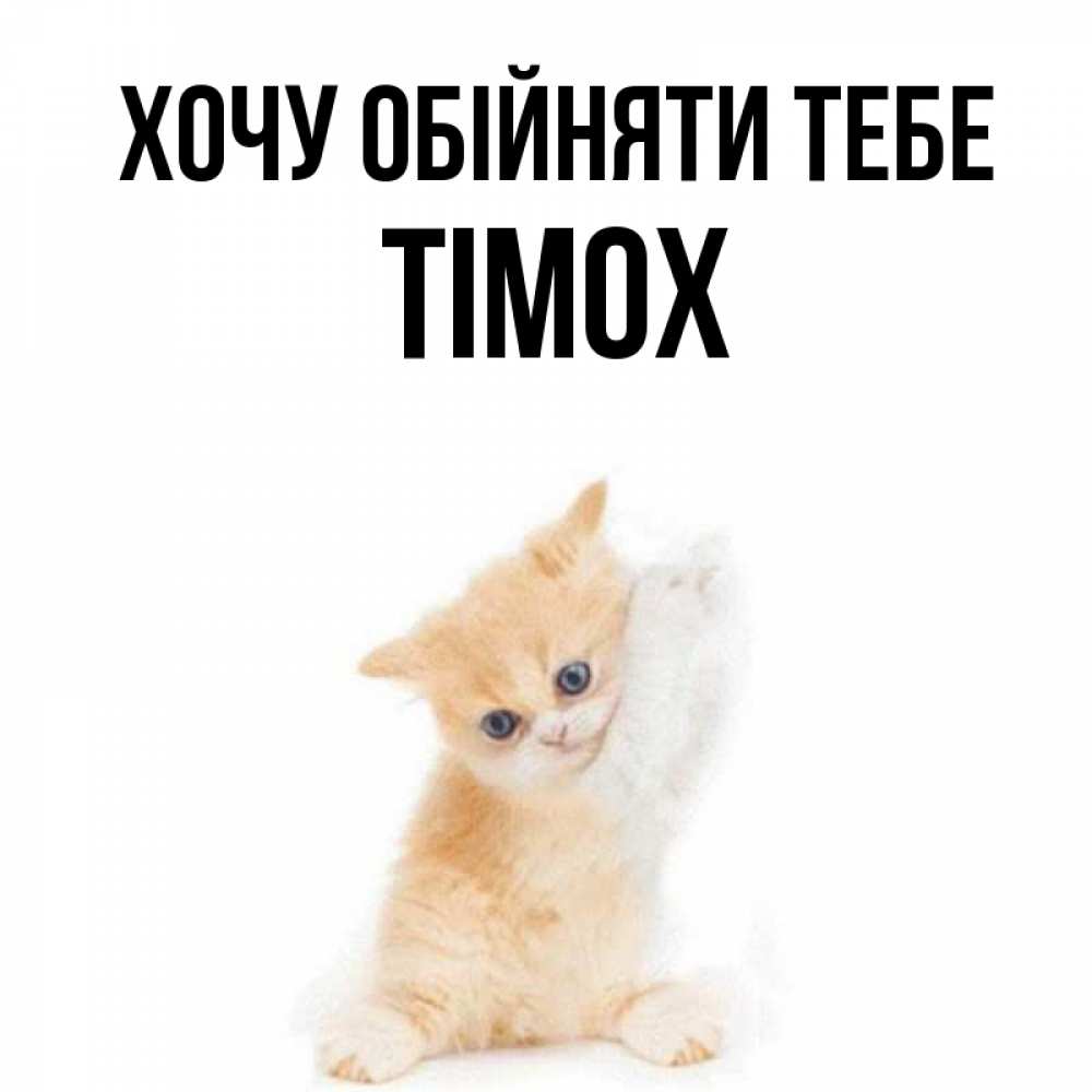 Открытка на каждый день з підписом, Тімох Хочу обійняти тебе я хочу очень скорее обнимаешек Прикольна листівка з побажанням онлайн скачати безкоштовно 