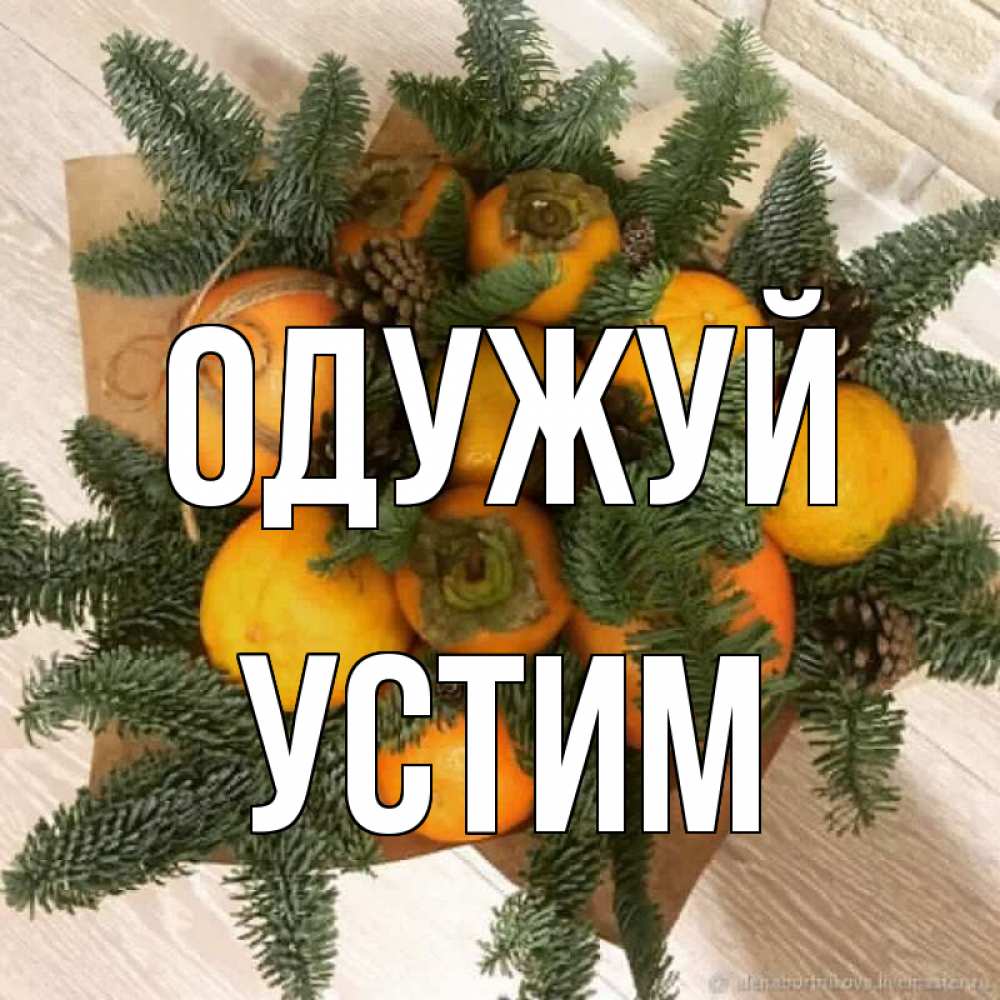 Открытка на каждый день з підписом, Устим Одужуй апельсины и хурьма Прикольна листівка з побажанням онлайн скачати безкоштовно 