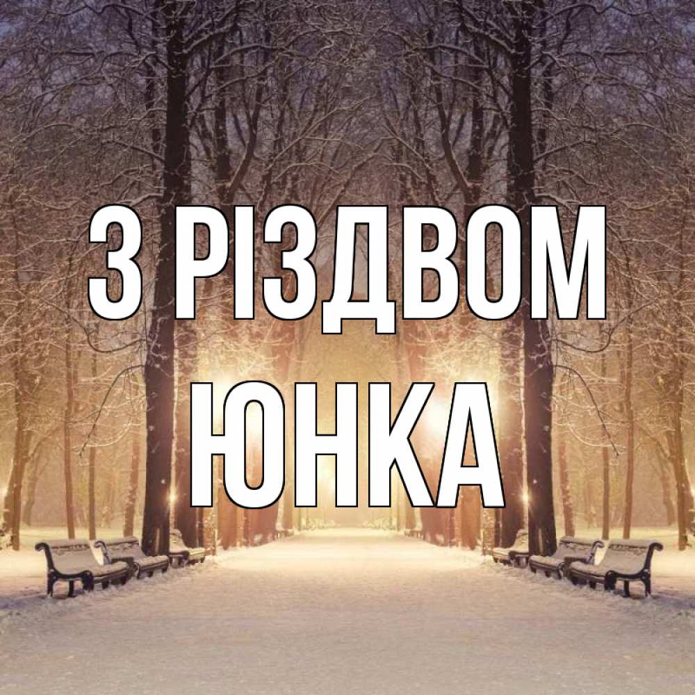 Открытка на каждый день з підписом, Юнка З Різдвом зима, парк, фонарь, лес Прикольна листівка з побажанням онлайн скачати безкоштовно 